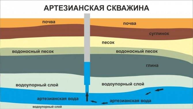 Глубина Залегания Водоносных Слоев в Самарской Области Наблюдение за растениями