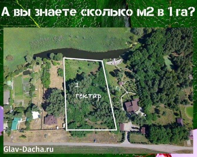 Сколько Квадратных Метров в 1 Проценте Гектара Расчет вентиляции