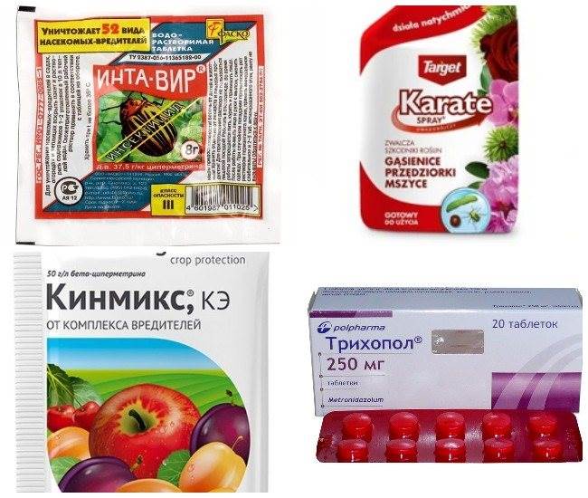 Чем Опрыскивать Плодовые Деревья Осенью от Парши Народные способы