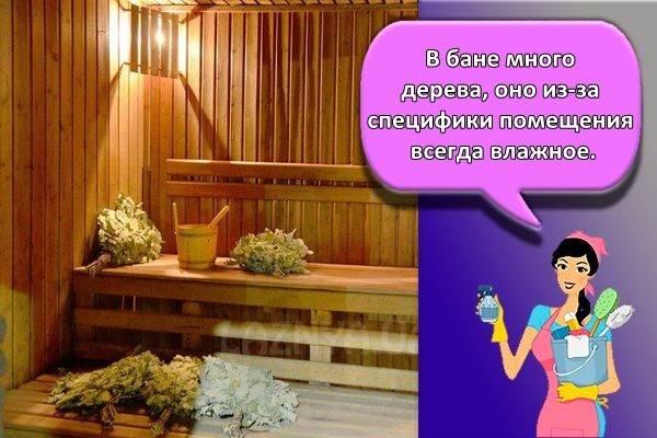 Чем Травить Двухвосток в Доме Народными Средствами Химические способы