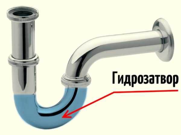Запах из раковины на кухне - как и чем убрать вонь из раковины