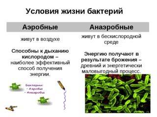 Антисептик Для Выгребных Туалетов Какой Лучше Естественная вентиляция