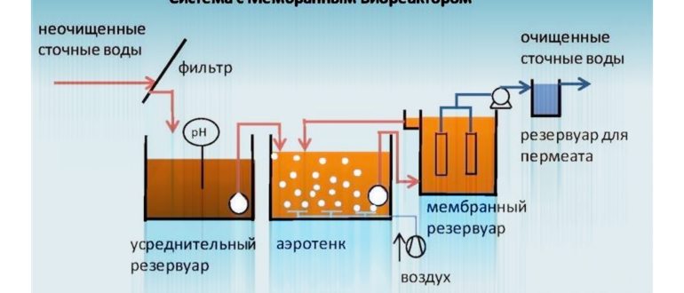 Какие бактерии очищают сточную