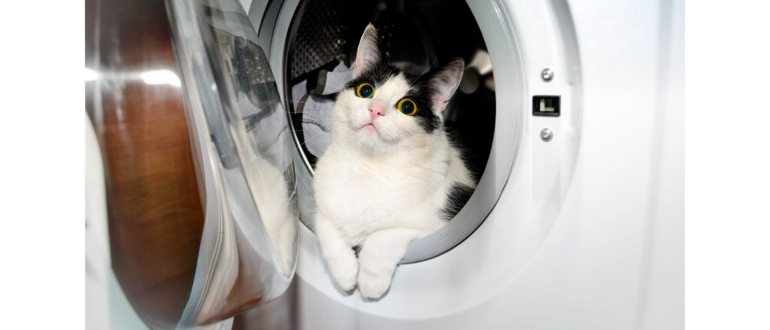 Первые признаки отравления