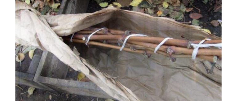 полного,растением,растение
