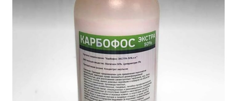 Когда и чем обработать яблоню