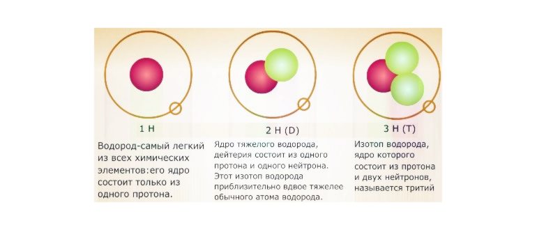 вакуолей,веществам,вакуоле