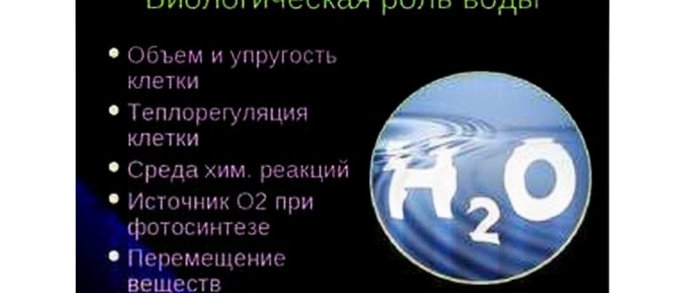 вакуолей,веществам,вакуоле