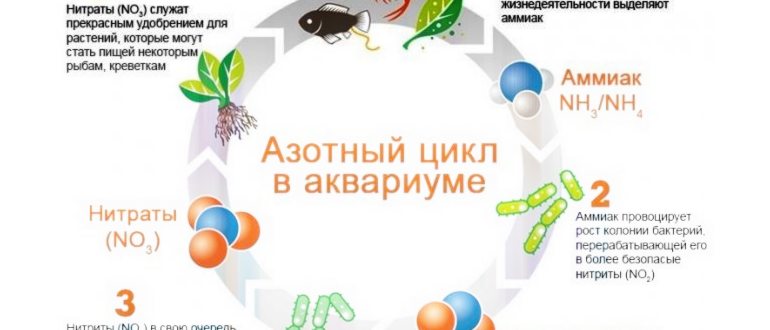 воды,внутренние,быть,загрязнение