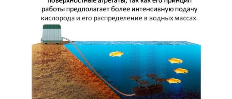 пруд на даче