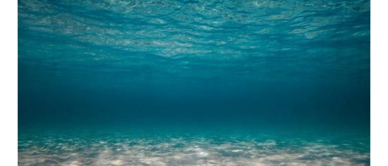 чему равна соленость морской