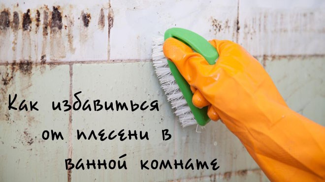 Женщина очищает плитку от плесени