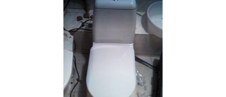 смыва,delfi,моделей,выбором